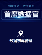 首席数据官罗兵