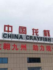 龙虾撮合交易